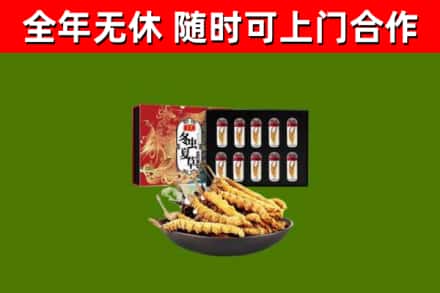 千山回收冬虫夏草价格