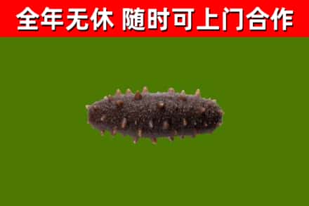 千山烟酒回收干海参.jpg